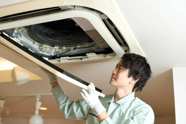 Best Home Air Vent Cleaning  in San Carlos, AZ